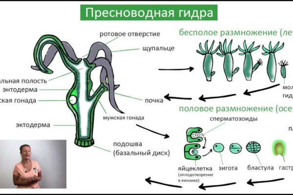 Как зарегаться на кракене