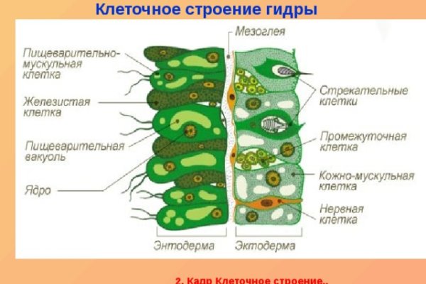 Рабочий кракен