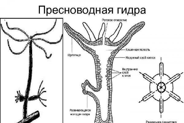 Украли аккаунт на кракене что делать