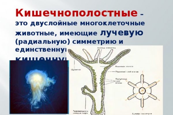 Кракен торговая площадка даркнет