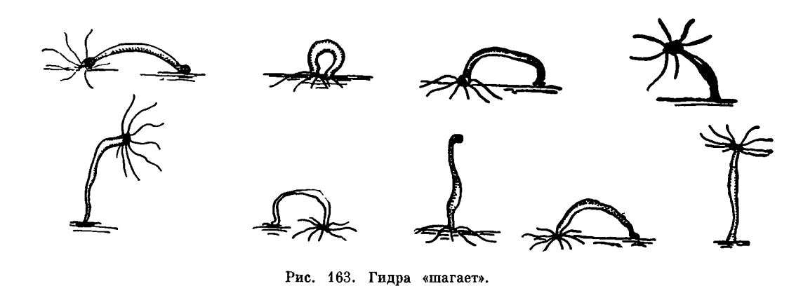 Регистрация кракен